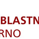 Kvalita nejsou jen standardy - konference